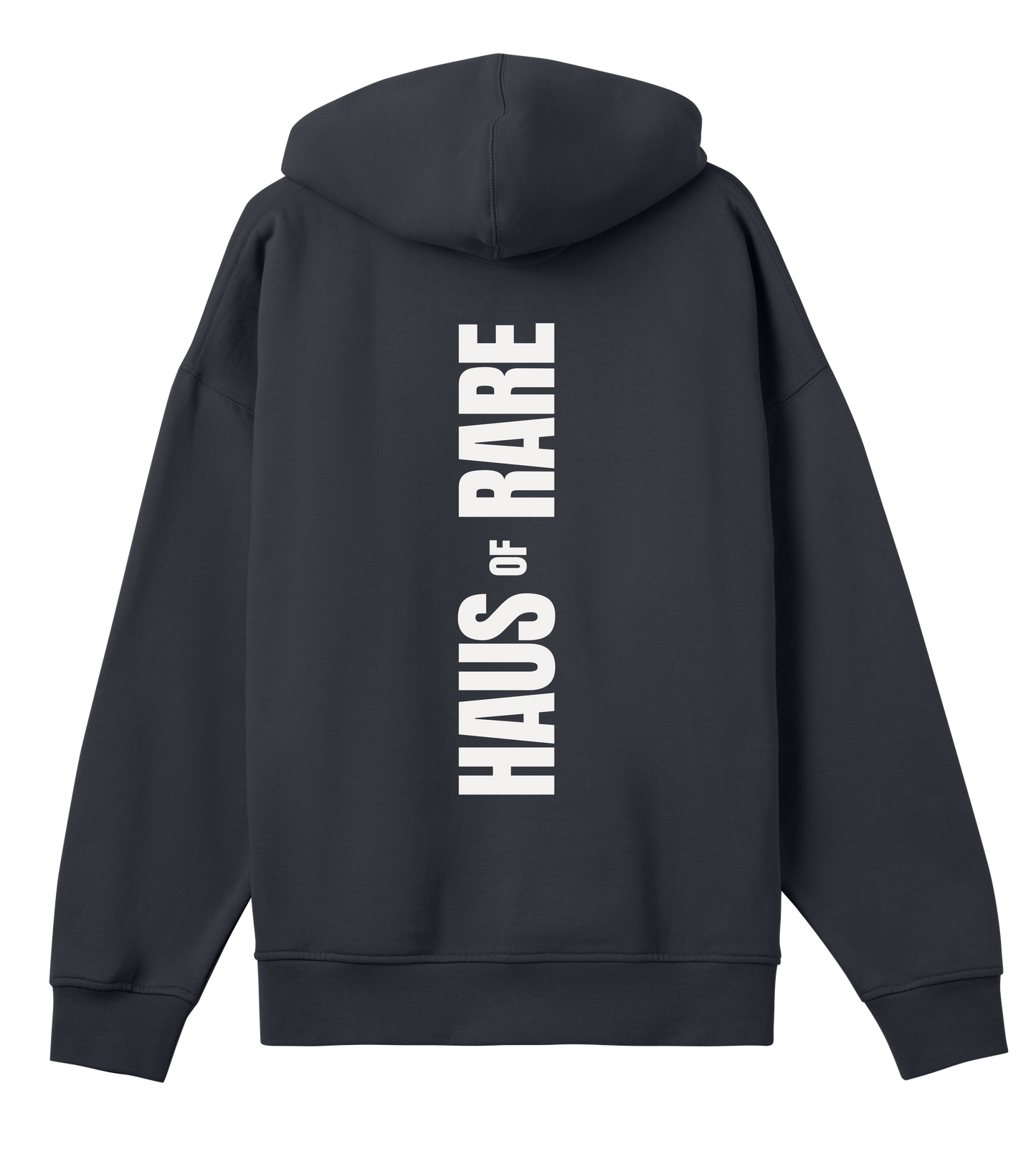 Oversized Unisex Haus of Rare Back Print Hoodie